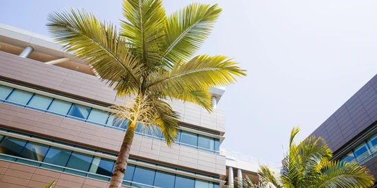 Dr. Ronnie Fang Joins the Department of Pediatrics at UC San Diego