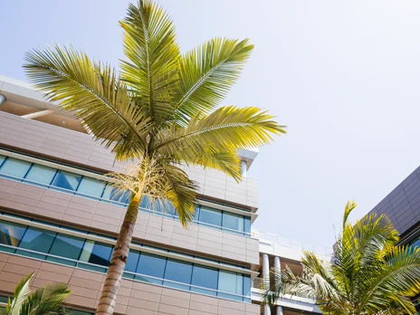 Dr. Ronnie Fang Joins the Department of Pediatrics at UC San Diego