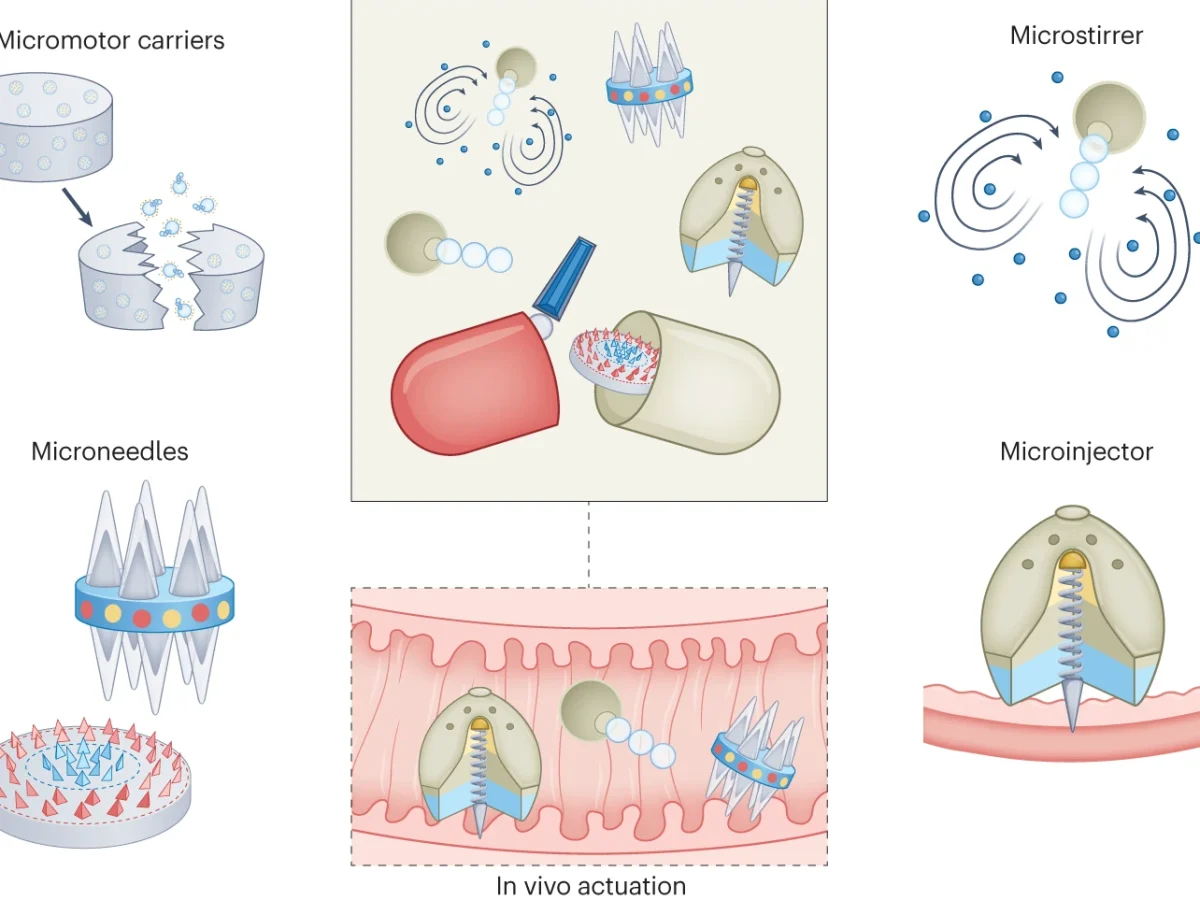 Advancing Oral Drug Delivery: The Rise of Multifunctional Robotic Pills